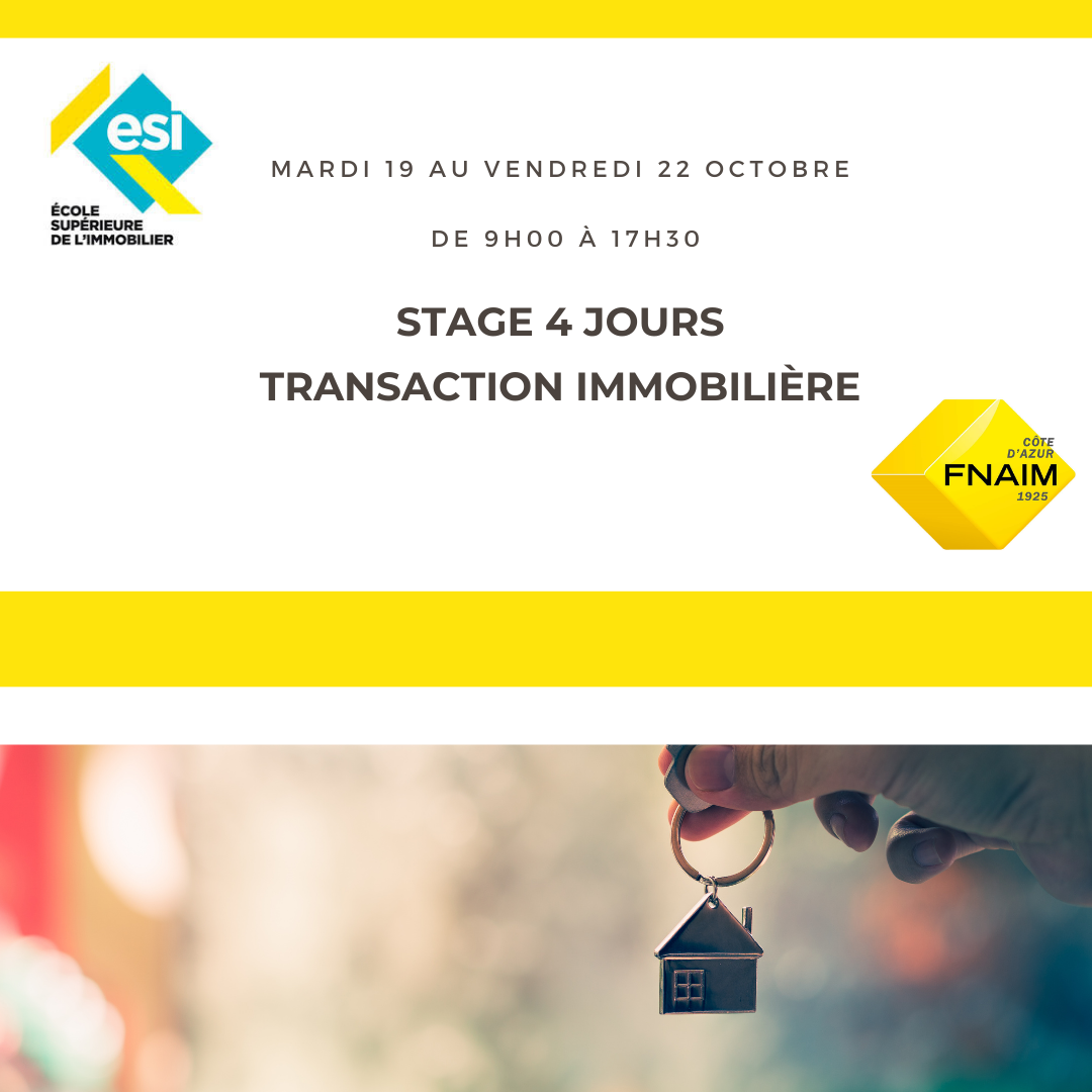 STAGE 4 JOURS TRANSACTION IMMOBILIÈRE