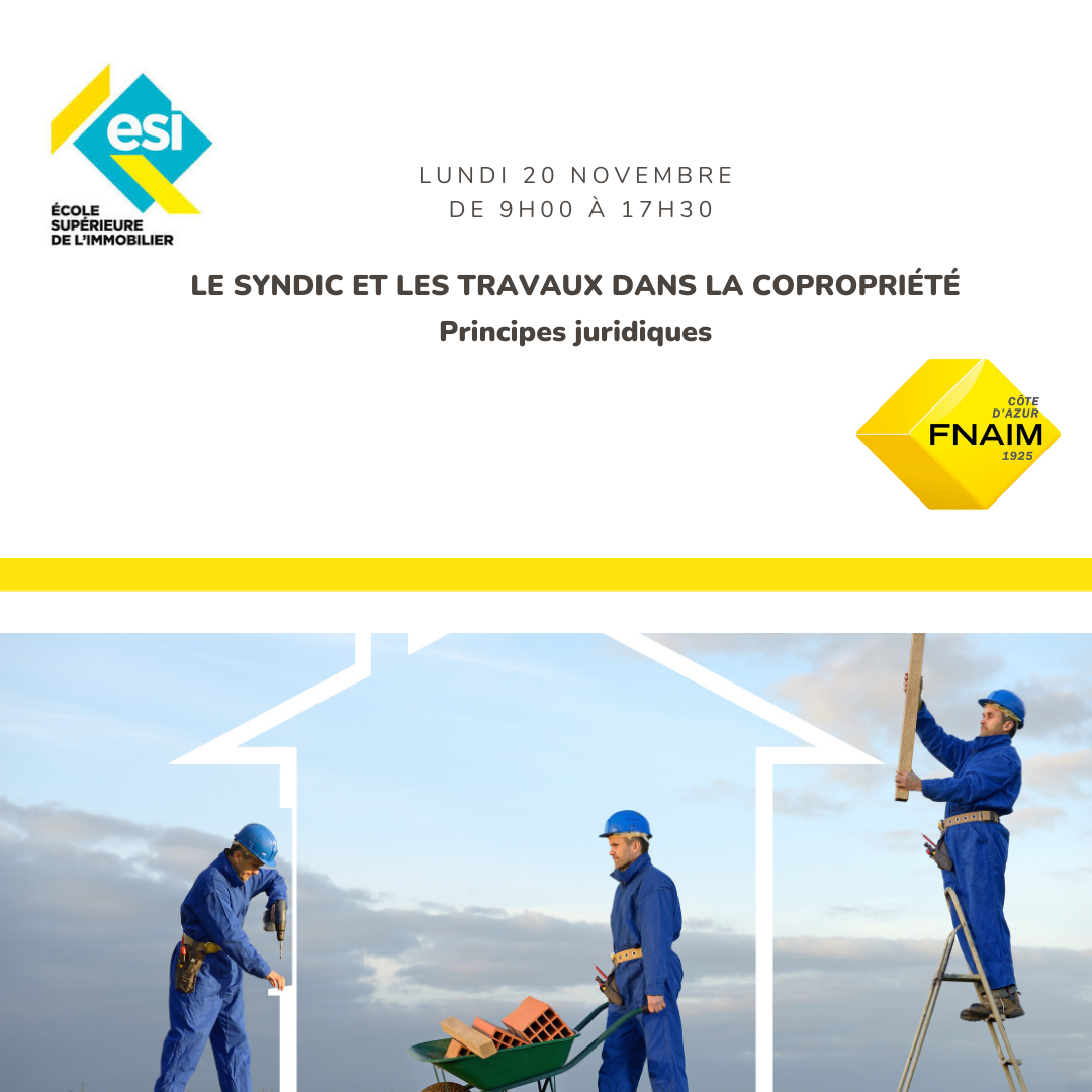 LE SYNDIC ET LES TRAVAUX DANS LA COPROPRIÉTÉ — PRINCIPES JURIDIQUES